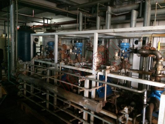 �y�T�F���DƬ