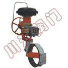 ZMAW��ӱ�Ĥ�{�����y