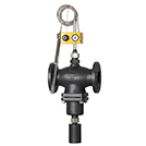 ��s������ʽ�ض��{���y